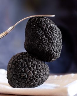 truffe-fraiche-noire-tuber-uncimatum-gastronomie-italie
